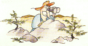 Fred in basin area