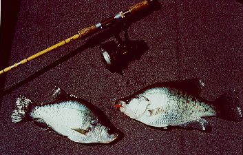 Cold Weather Crappie