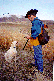 Dog Training