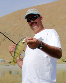 Nice Perch